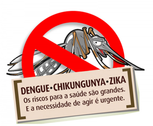Vamos combater a Dengue