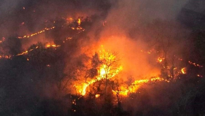 EVITE QUEIMADAS, PRESERVE A NATUREZA